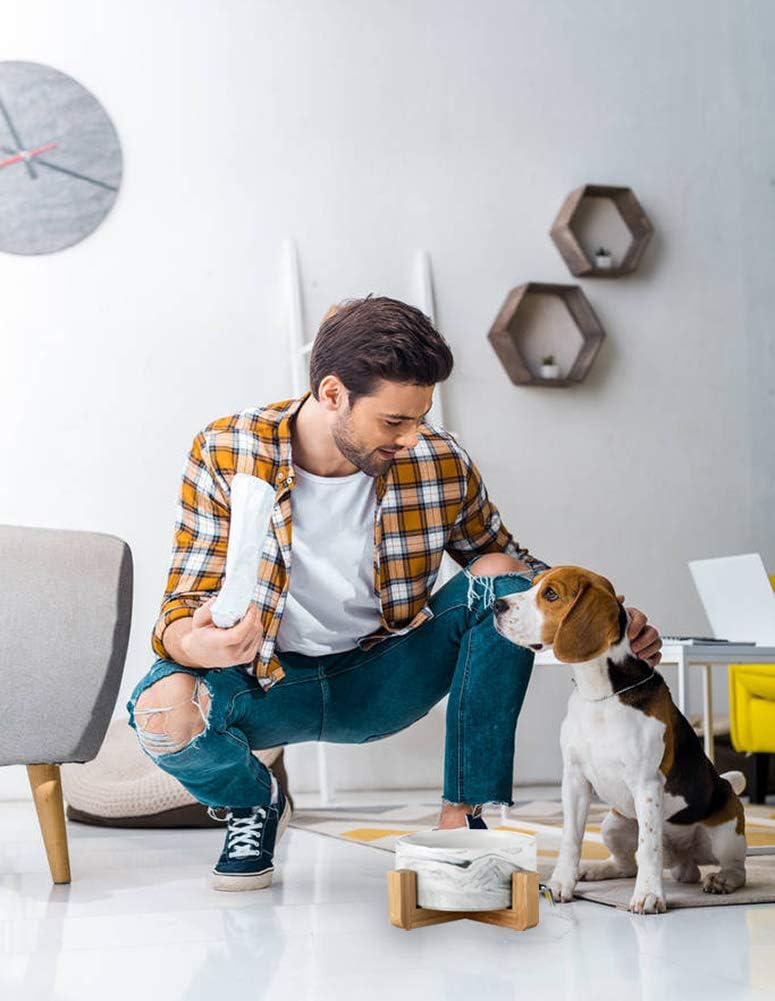 Ceramic Pet Bowls with Stand - Dog Cat Water Bowl and Food Dish -Heavy Weighted & No Tip Over Pet Comfort Feeding Bowls -Dishwasher Safe & Easy to Clean