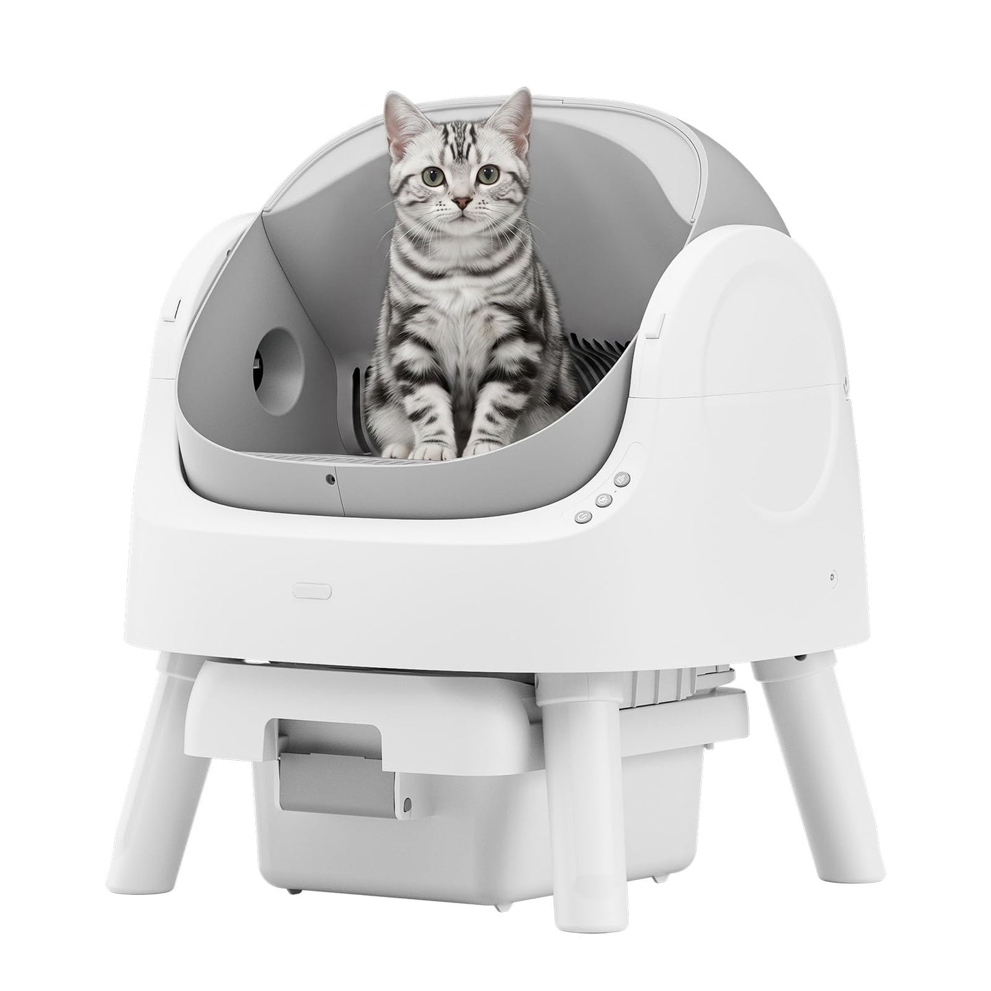 Self Cleaning Cat Litter Box. Chosen for real quality, fits naturally into modern pet homes.
