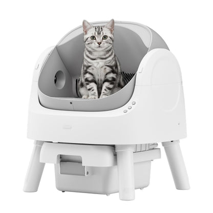 Self Cleaning Cat Litter Box. Chosen for real quality, fits naturally into modern pet homes.