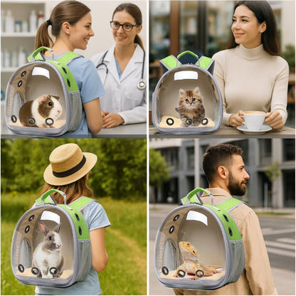 Bunny Carrier, Guinea Pig Carrier,Small Animal Carrier Backpack for Rabbit,Bearded Dragon, Lizard,Hamster,Kitten. Breathable Pet Travel Cage Bag (Grass Green)