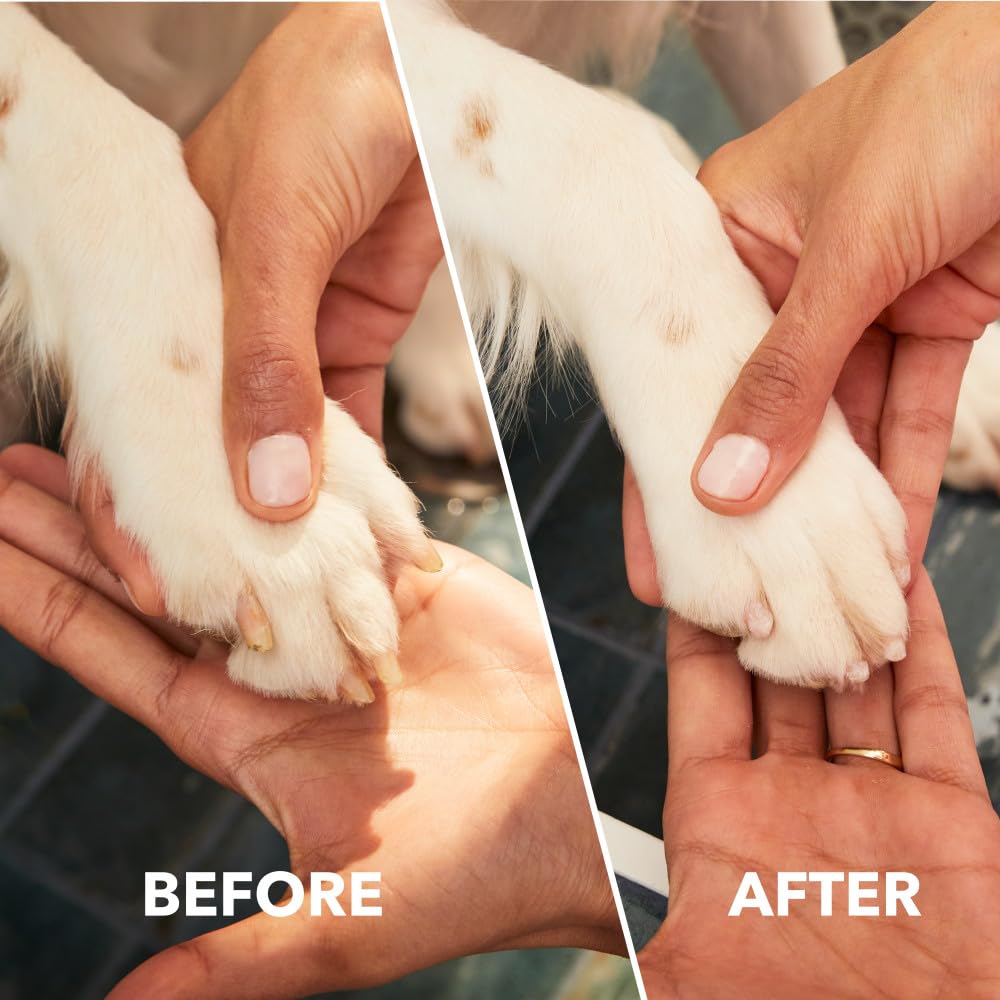 Dremel PawControl 7760. Chosen for real quality, fits naturally into modern pet homes.