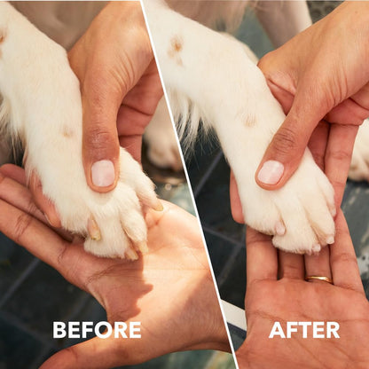 Dremel PawControl 7760. Chosen for real quality, fits naturally into modern pet homes.