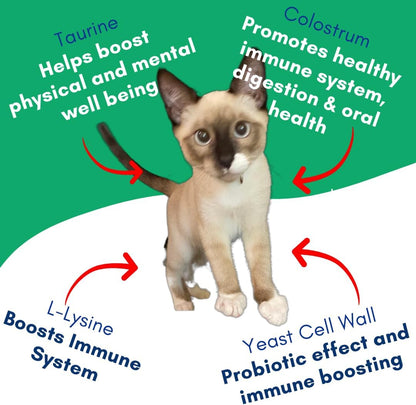 Vitality Lickable Cat Treat Pouches for Indoor Cats - All Natural Chicken Puree Tube Treats, Kitten and Senior Soft Wet Cat Treat - Grain Free, Lysine, Taurine; 12 Tubes .05 oz ea.