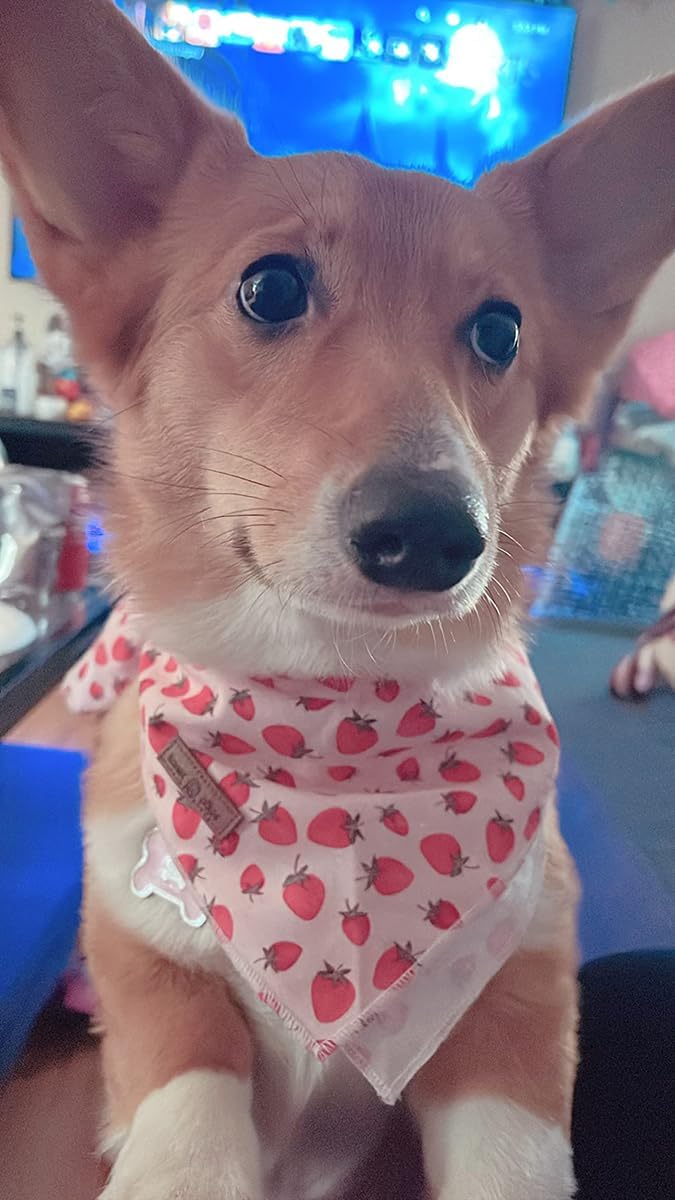 Lionet Paws Dog Bandana,Fabric Pink Dogs Kerchief for Medium Large Dogs,Dog Cotton Triangle Bibs Scarf for Girl Boy