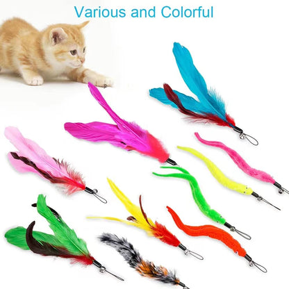 JIARON Cat Toys Interactive Feather Toy. Chosen for real quality, fits naturally into modern pet