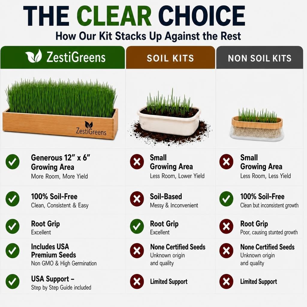 Cat Grass for Indoor Cats. Chosen for real quality, fits naturally into modern pet homes.