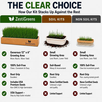 Cat Grass for Indoor Cats. Chosen for real quality, fits naturally into modern pet homes.