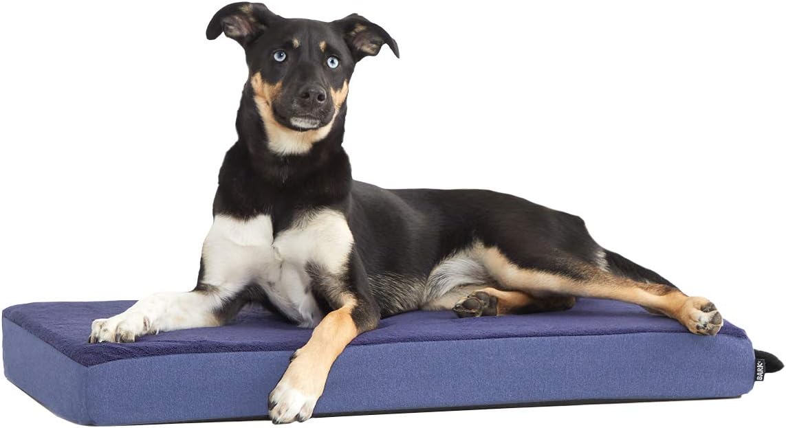 Barkbox Orthopedic Dog Bed with Memory Foam, Premium Comfort for Dogs and Puppies, Dog Bed for Joint Relief and Restful Sleep, Durable and Easy to Clean - Navy, Medium