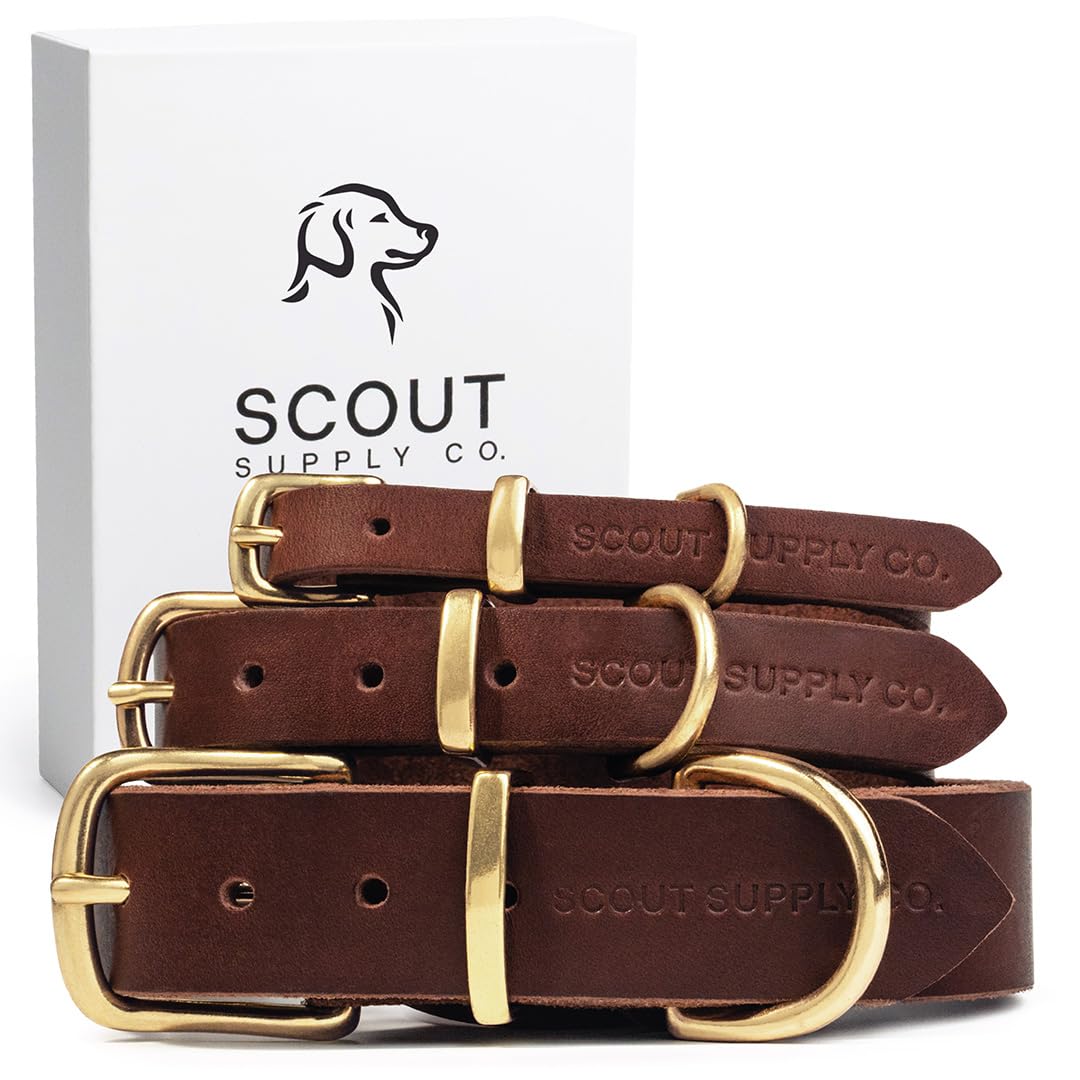 Scout Supply Classic Leather Dog Collar | Heavy Duty. Chosen for real quality, fits naturally into