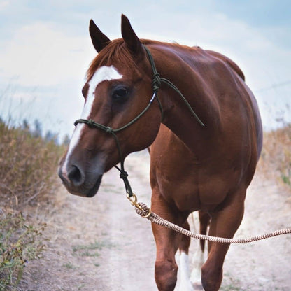 Horse Rope Training Halter - 4 Knot 1/4" Stiff Halter Cord - Used by Famous Trainers Multiple Sizes Multiple Colors