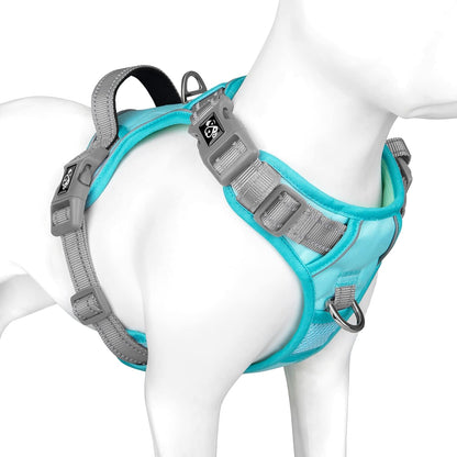 PHOEPET No Pull Dog Harness, Unique Colors Reflective Adjustable Dog Vest, with Soft Training Handle Metal Clips for Small Medium Large Dogs (Mint Green Base & Grey Straps,S)