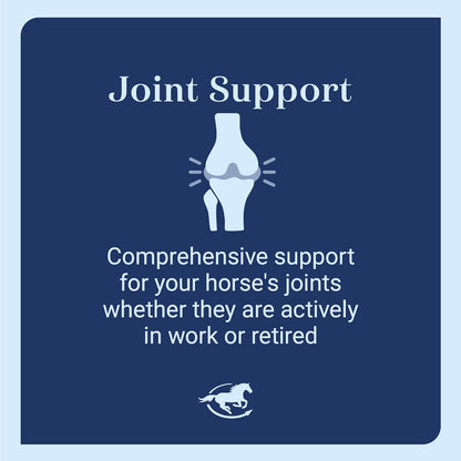 SmartEquine Leg Up Joint Pellets | Joint Support Supplement For Horses | Glucosamine Chondroitin Sulfate and Antioxidants Formula With No Added Sugar | Ideal For Light Work Horses | 45 Servings | 2 lb