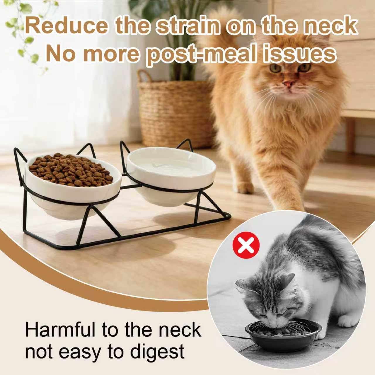 Elevated Tilted Cat Bowls for Indoor Cats，Raised. Chosen for real quality, fits naturally into