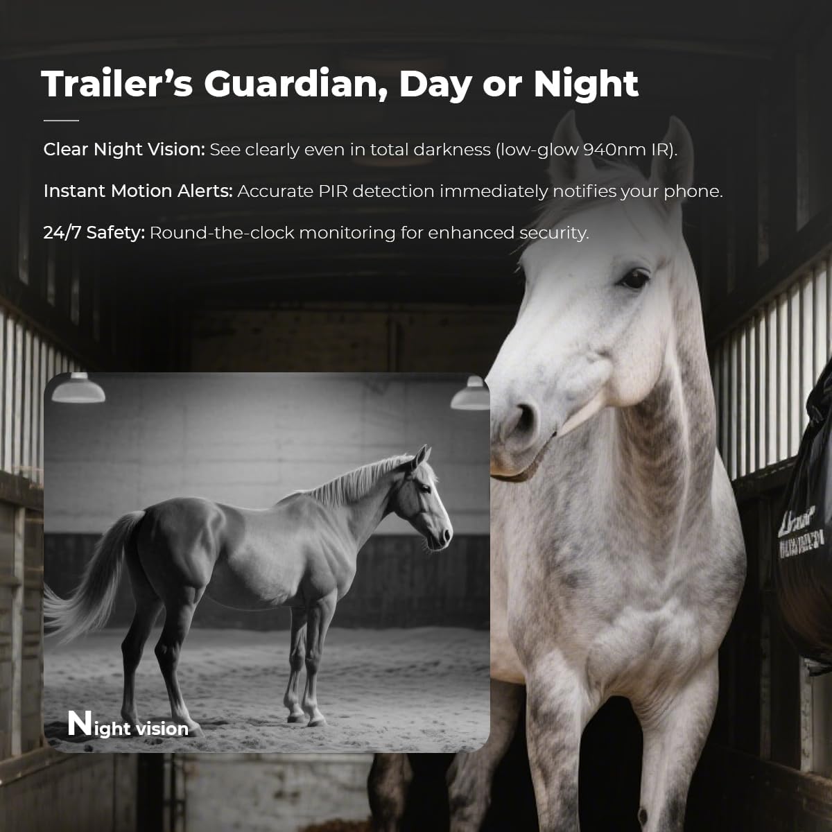 NomadEye Wireless Horse Trailer Camera – 4K Live Video & 2-Way Audio – WiFi Connect – Magnetic Mount – 15Hrs Recording – Night Vision – iOS & Android App (3 Pack)