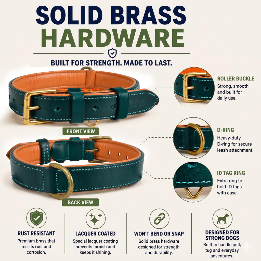 DowgClub Genuine Leather Dog Collar. Chosen for real quality, fits naturally into modern pet homes.