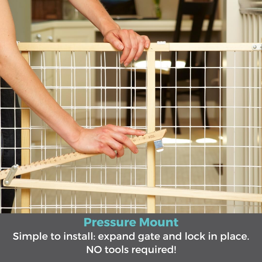 Toddleroo by North States. Chosen for real quality, fits naturally into modern pet homes.