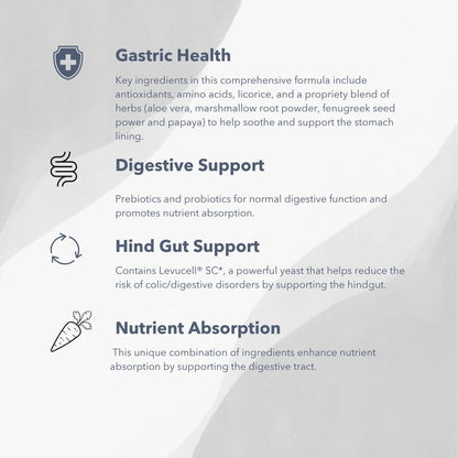 Gastro-Plex (6 lb) Supports Gut Health and Hindgut Digestion in Horses