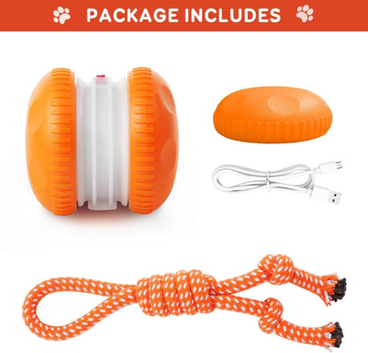 QGI Interactive Dog Ball. Chosen for real quality, fits naturally into modern pet homes.