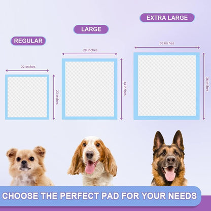 IMMCUTE Puppy Pee Pads 22"x23"-80Count | Dog Pee Training Pads Super Absorbent & Leak-Proof | Disposable Pet Piddle and Potty Pads for Puppies | Dogs | Doggie| Cats | Rabbits