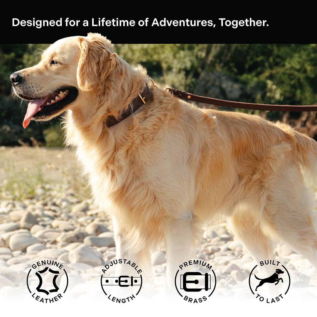 Scout Supply Classic Leather Dog Collar | Heavy Duty. Chosen for real quality, fits naturally into