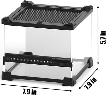 Woyrise Reptile Glass Terrarium Tank 8"x8"x5.7", Front & Top Opening Door Full View Visually Appealing Mini Reptiles or Amphibians Habitat, Stackable Enclousure for Small Reptiles
