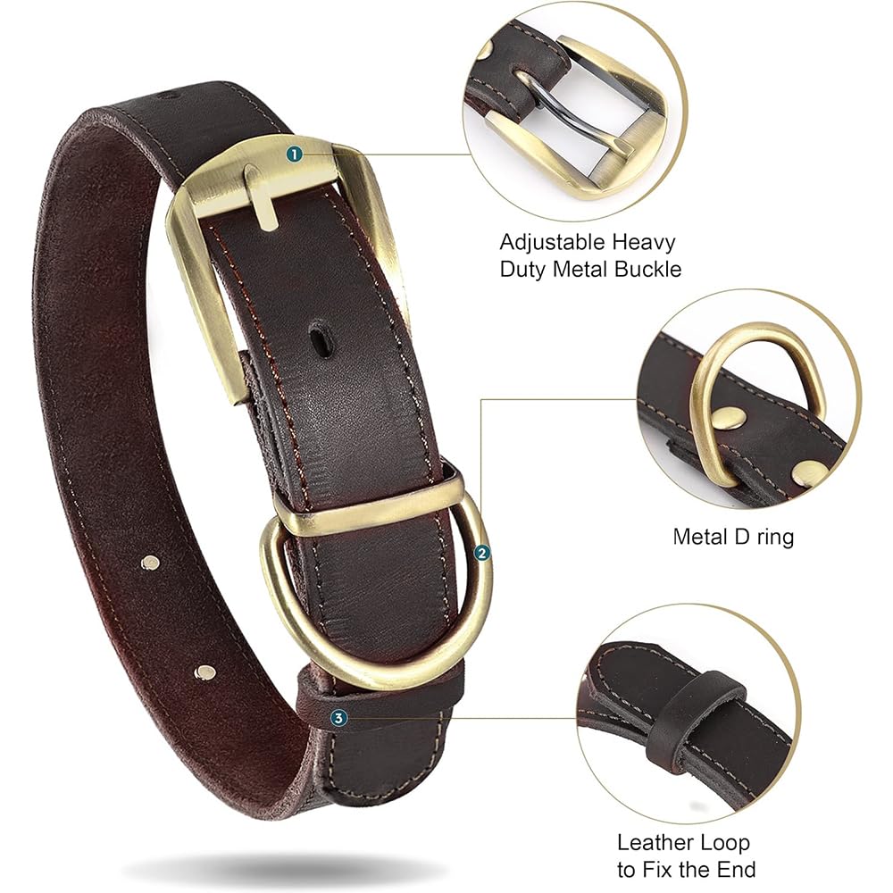 Didog Personalized Genuine Leather Dog Collar with. Chosen for real quality, fits naturally into
