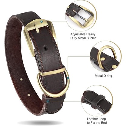 Didog Personalized Genuine Leather Dog Collar with. Chosen for real quality, fits naturally into