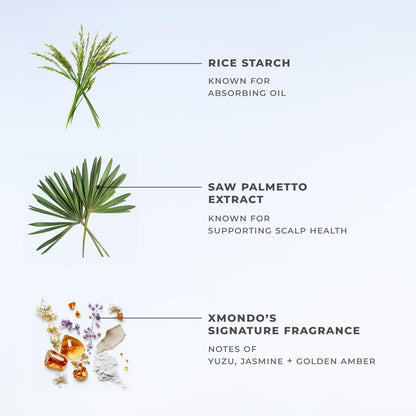 XMONDO Hair BOOST X Dry Shampoo, Zero Residue, Formulated with Saw Palmetto to Promote Scalp Care, Clinically Tested, Dermatologist Tested, Talc-free, Benzene-free, Free of aluminum starch, 5 oz