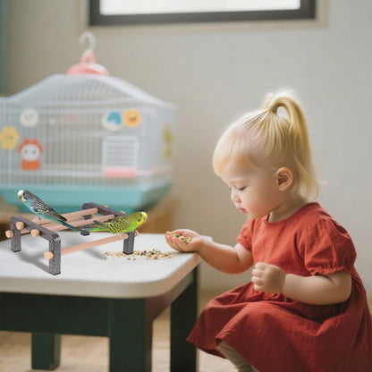 Small Bird Parrot Training Perch Stand for Parakeet Budgies Cockatiel Conure, Durable Heavy Duty Rustproof Metal Frame with 4 Wooden Bars for Bird to Play Climb and Exercise Table Toy