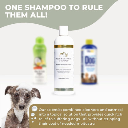 PetScy - Aloe & Oatmeal Shampoo for Dogs and Cats, Moisturizing Pet Shampoo for Skin Relief, All-Natural, Soap-Free & Gentle, Pina Colada Scent, 12 Oz