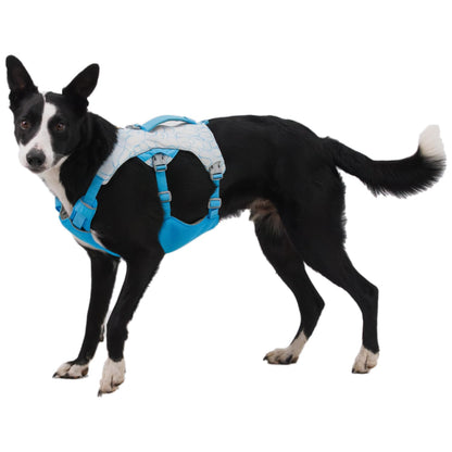 Ruffwear. Chosen for real quality, fits naturally into modern pet homes.