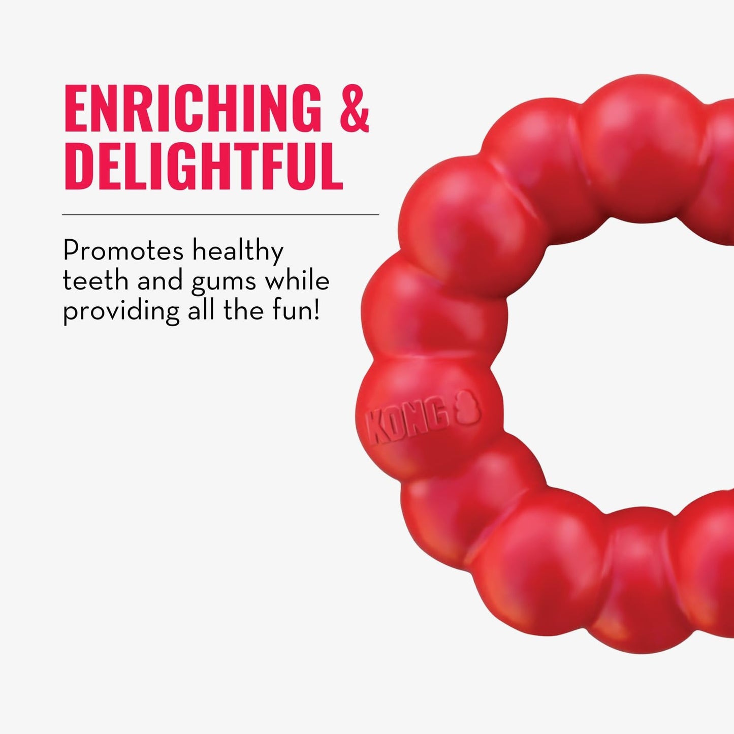 KONG Ring. Chosen for real quality, fits naturally into modern pet homes.