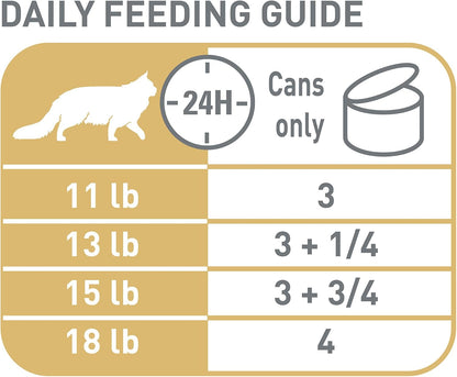 Royal Canin Maine Coon Adult Breed Specific Cat Food Thin Slices in Gravy, 3 oz can (6-Pack)