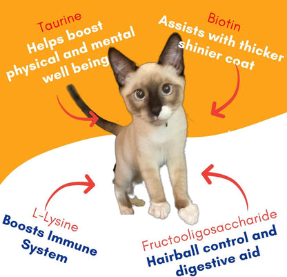 Lickable Cat Treat Pouches for Indoor Cats - All Natural Chicken Puree Tube Treats, Kitten and Senior Soft Wet Cat Treats - Grain Free, Lysine, Taurine; 12 Tubes .05 oz ea.