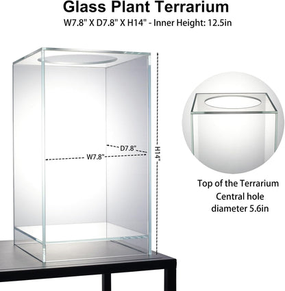 Desktop Glass Plant Terrarium with Grow Light(L7.8 W7.8 H14), for Succulent, Moss, Miniature Gardening Landscape, Betta Fish Tank, Indoor Plant Growth, Office Home Decoration (TimeControlled)