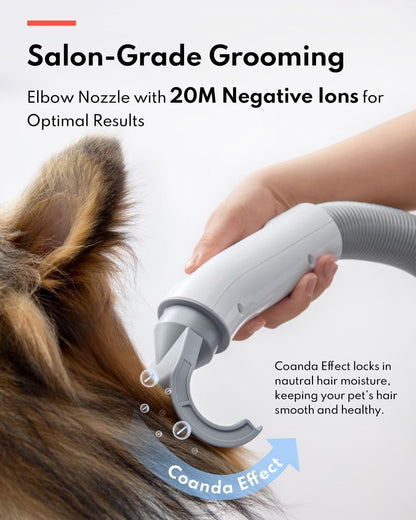 HomeRunPet Dog Dryer, Pet Hair Dryer with 99 Adjustable Wind Speed and Temperature Control, 3 Different Nozzles, Quiet Dog Blow Dryer, Professional Pet Hair Drying for Dogs