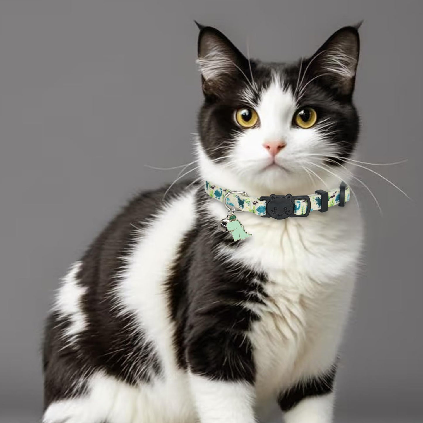 Giecooh Cat Collars for Boy Cats. Chosen for real quality, fits naturally into modern pet homes.