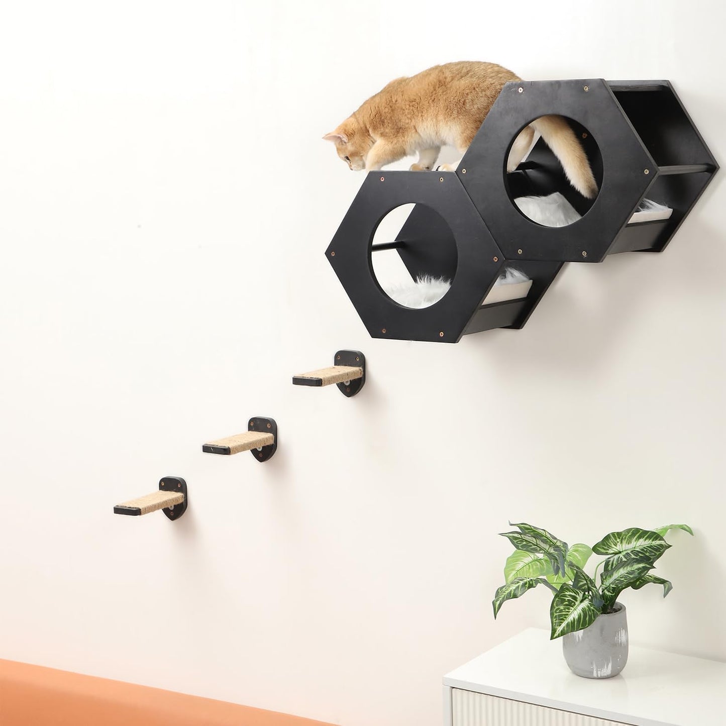 3 Pcs Cat Steps and Perches for Wall, Climbing Shelf With Hemp Rope, Wall-Mounted Furniture Set With Scratching Pads for Playing (Black)