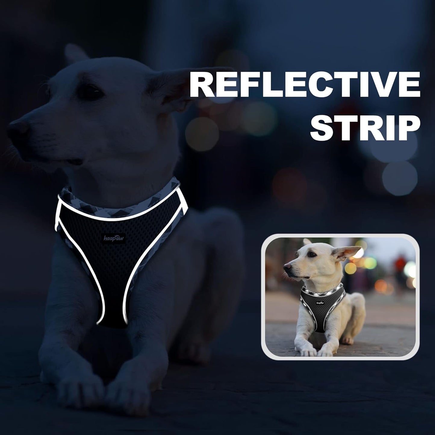 haapaw Dog Harness with Leash Set, No Pull Adjustable Reflective Step-in Puppy Harness with Thickened Padded Vest for Extra-Small/Small Medium Dogs
