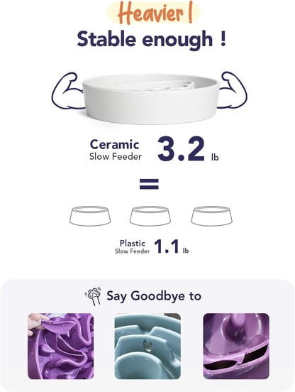 LE TAUCI Dog Bowls Slow Feeder Ceramic, 1.5 Cups Slow Feeding Dog Bowl Small Medium Breed, Puppy Bowl for Fast Eaters,Angel White