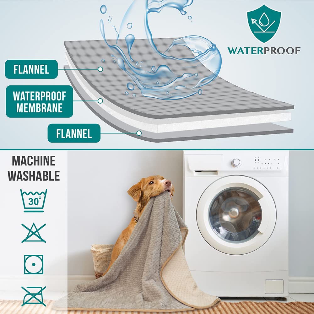 PetAmi Waterproof Dog Blanket. Chosen for real quality, fits naturally into modern pet homes.