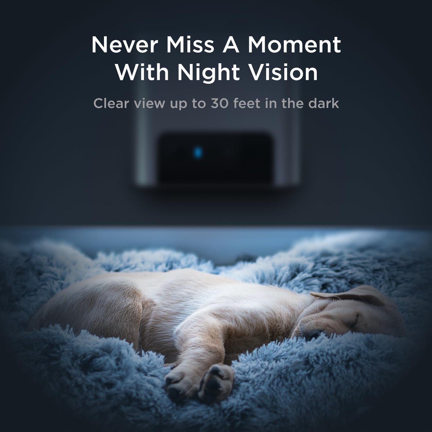 Petcube Bites 2 Lite. Chosen for real quality, fits naturally into modern pet homes.