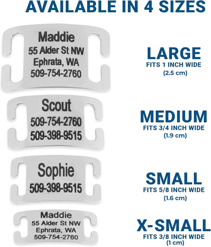 GoTags Slide. Chosen for real quality, fits naturally into modern pet homes.