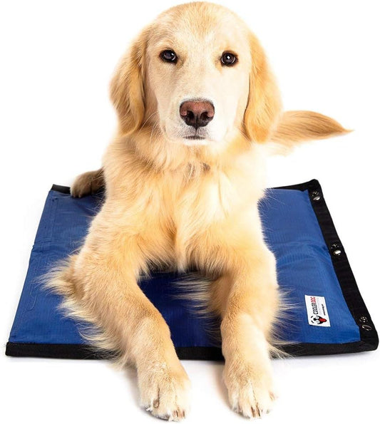 Dog Cooling Pad Dog Cooling Products Hydro Cooling Mat for Small/Medium Dogs