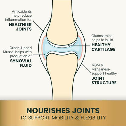 VetriScience Ultimate Strength Healthy Hip & Joint Chews, GlycoFlex Glucosamine, Chondroitin and Green-Lipped Mussel Joint Support Supplement for Dogs, Soothe Joint Discomfort, Duck, 60 Count