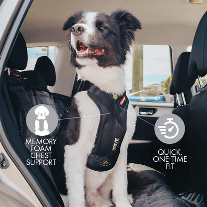 Ezydog Drive Dog Car Harness – Crash Tested and Certified (US-FMVSS 213) Dog Seat Belt Harness for Safe Travel, Adjustable with Padded Comfort (Medium)