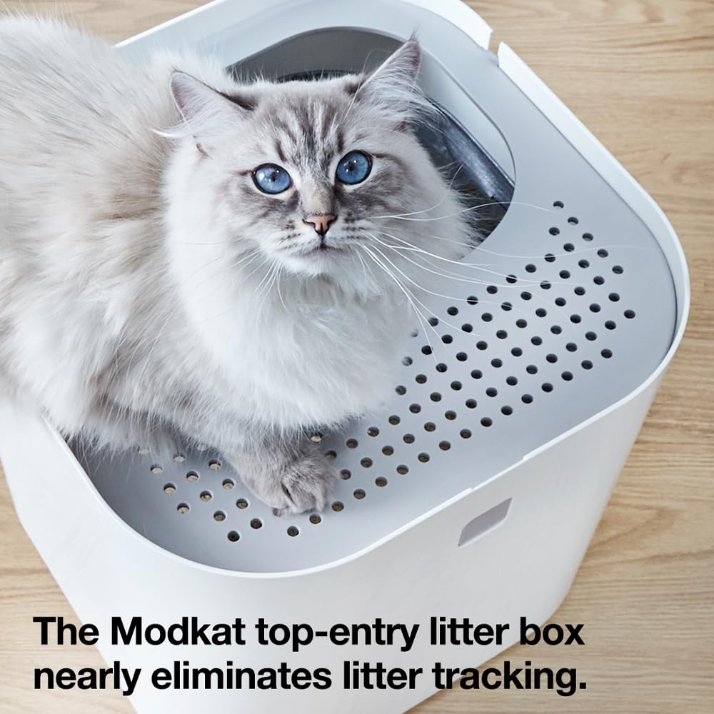 Modkat Top. Chosen for real quality, fits naturally into modern pet homes.