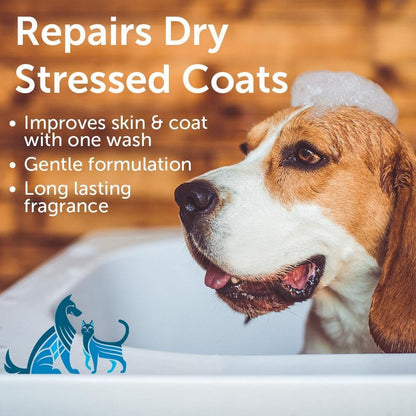 Nootie - Pet Shampoo for Sensitive Skin - Revitalizes Dry Skin & Coat - Natural Ingredients - Gentle Dog Shampoo - Cleans & Conditions