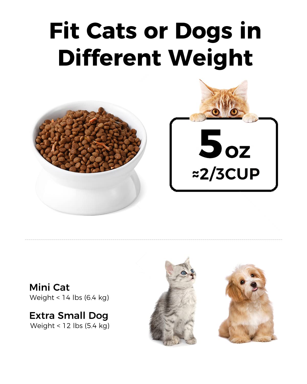 LoeJan Elevated Cat Food Bowl. Chosen for real quality, fits naturally into modern pet homes.