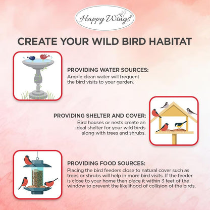 Shelled Peanuts Seeds Combo Wild Bird Food - 10 Pounds- 5 Pounds Combo Pack of 2 I No Grow Seed I Bird Food for Wild Birds